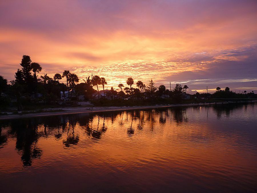 Click to See Next Image